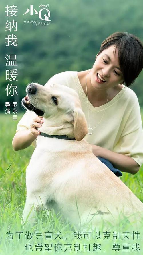 公证处开委托书需要双方到场吗